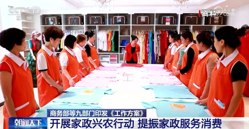 家政興農 提振家政服務消費，助力推進鄉村全面振興