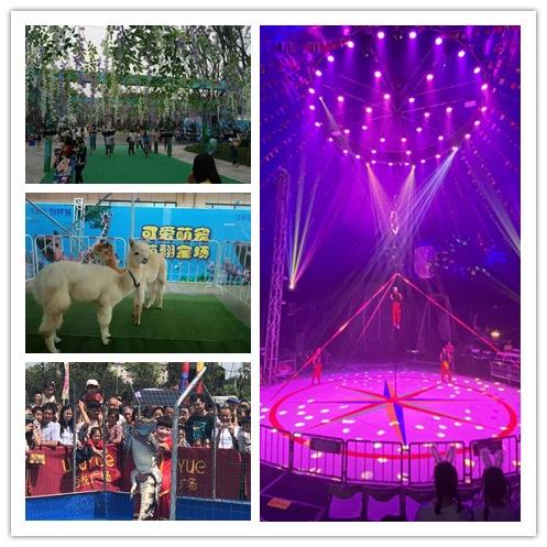 寧夏回族自治區(qū)當(dāng)?shù)刈赓U馬戲團(tuán)租賃海洋展暖場(chǎng)方案