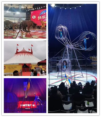 大邑縣馬戲團(tuán)表演租賃出租附近