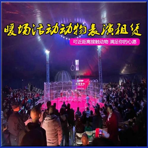 夢(mèng)幻雜技專場(chǎng)表演出租 馬戲團(tuán)表演 動(dòng)物表演租賃 大型活動(dòng)方案
