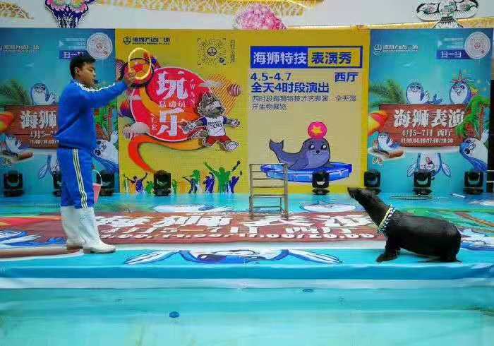 張家口市沽源縣馬戲團動物租賃馴養(yǎng)員