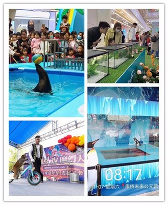 恩施市馬戲團(tuán)表演出租