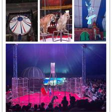 黑龍江本地馬戲團表演出租