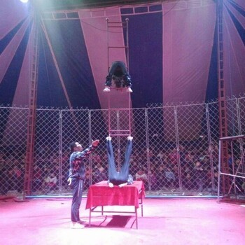 2019春節馬戲團表演馬戲嘉年華方案馬戲團表演租賃