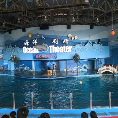 太原市附近哪里有出租海獅表演的附近海洋展出租哪里有