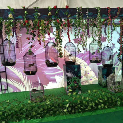 上海長(zhǎng)期出租海獅團(tuán)表演