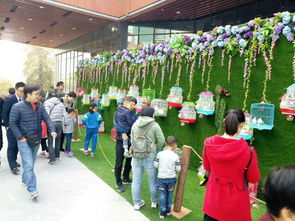 哪里有百鳥(niǎo)表演展覽百鳥(niǎo)展出租鸚鵡表演出租蝴蝶展互動(dòng)