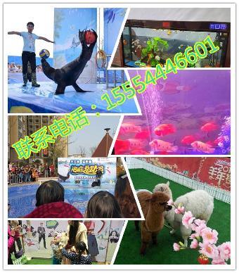 武穴哪里有馬戲團(tuán)出租表演的呢_志趣網(wǎng)