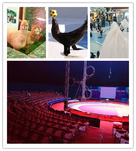 東方市哪里有出租馬戲團(tuán)的