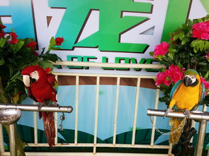 馬戲團報價 廠家