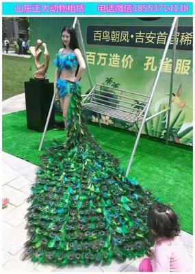 陜西大型馬戲團(tuán)表演出租 羊駝海獅萌寵出租 動(dòng)物展覽出