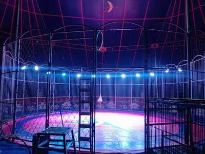 歡迎來電了解 烏魯木齊馬戲團租賃表演公司