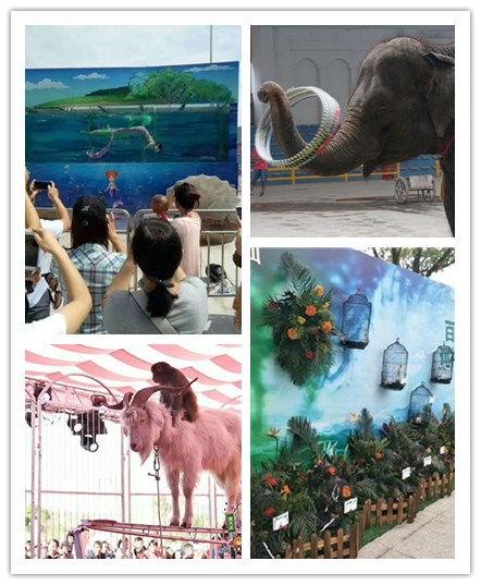 廣元馬戲團(tuán)出租價(jià)格