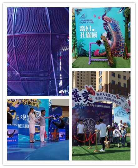 臺(tái)州市本地雜技馬戲團(tuán)表演出租