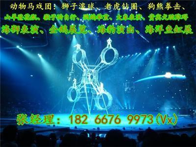 秦皇島羊駝動物租賃