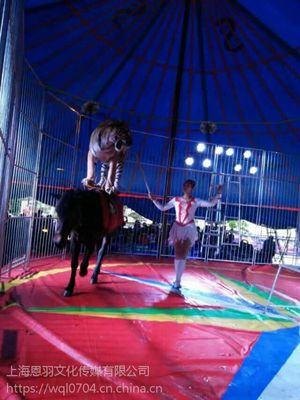 俄羅斯馬戲表演團(tuán)租賃馬戲團(tuán)雜技演出出租