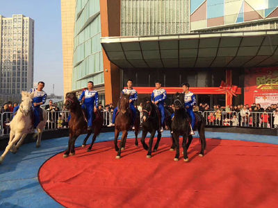 租賃動物皇家馬戲團商業(yè)慶典互動暖場