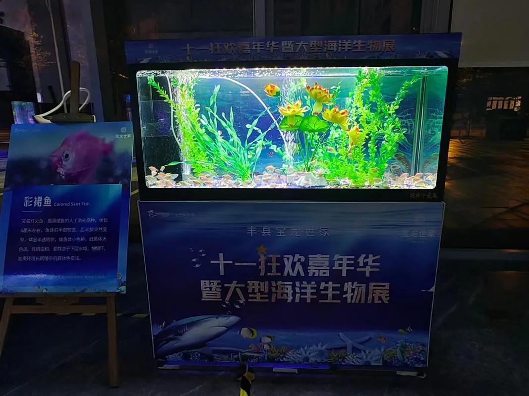 專業(yè)動物出租服務 馬戲團表演、海獅與羊駝租賃解決方案